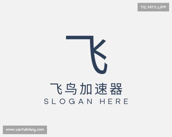介绍飞鸟加速器