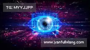 公司动态 | 飞鸟VPN【官方网站】| 稳定通道，便捷连接全球